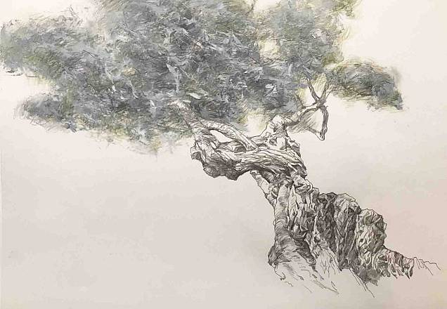 L'anima del mediterraneo